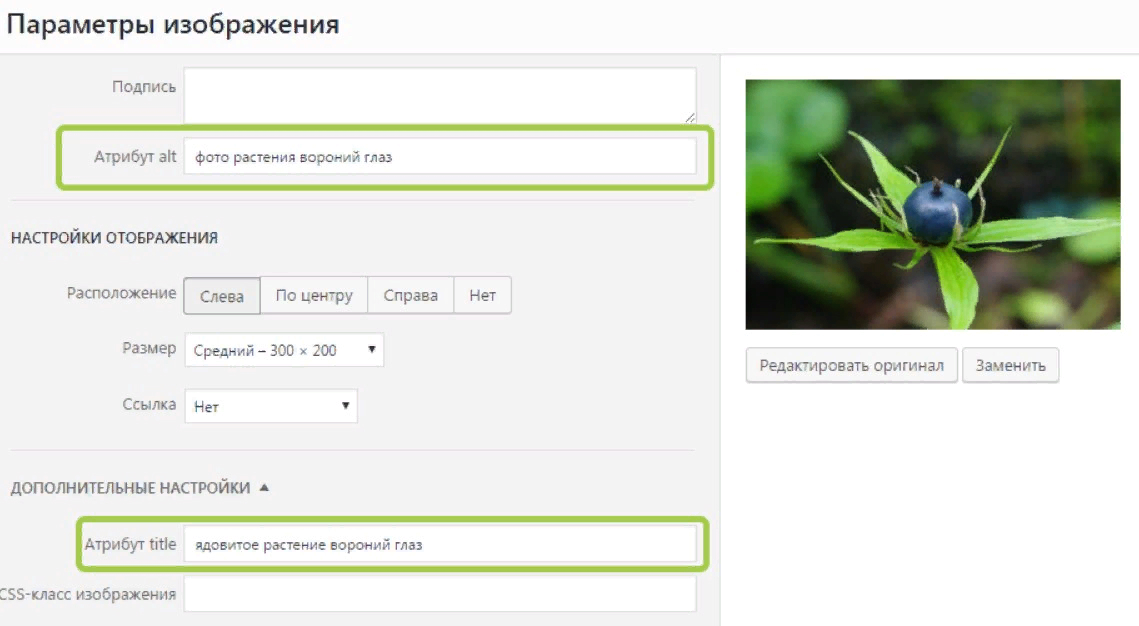 Настройки Alt и Title для изображения